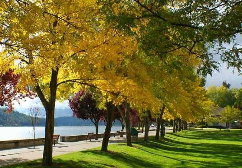 Springhill Suites Coeur D'Alene Eksteriør bilde